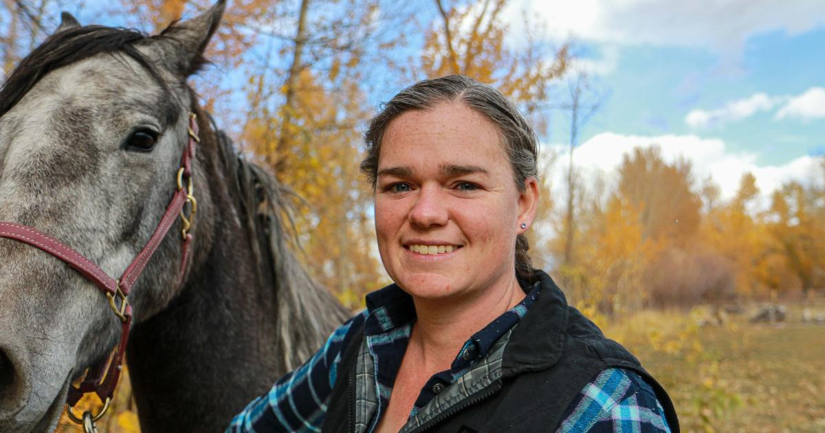 For the love of a Challis wild horse Bureau of Land Management